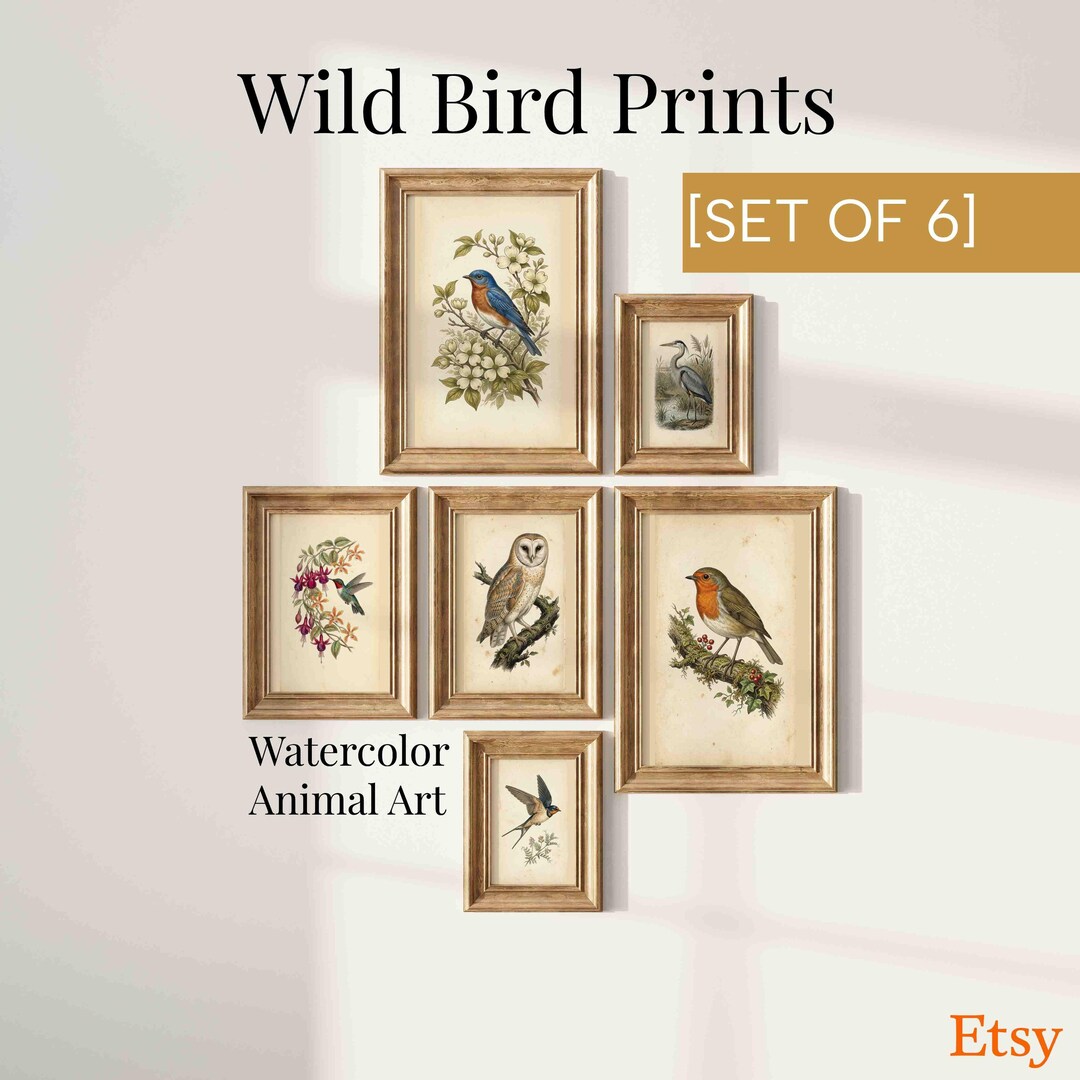 Vintage Bird Wall Art Set of 6 Printable, Botanical Bird Prints ...