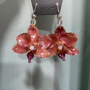Könnte beinhalten: Ohrringe in Form von rot-rosa Orchideen, mit einem perlmuttartigen Zentrum und dunkelvioletten Akzenten. Sie hängen an silberfarbenen Haken mit transparenten Perlen und präsentieren ein florales Thema.