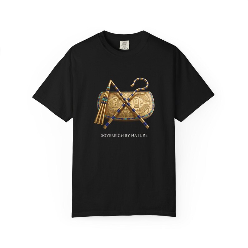 Crook and Flail Sarcophagus T-Shirt, Bronze & Nile Collection, African Art Gift (Garment-Dyed) image 7