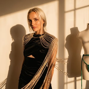 May include: A black velvet mini dress featuring a cutout at the midriff and a gold-toned shoulder accessory. The accessory consists of a rigid collar piece with long, cascading gold metallic fringe strands that drape over the shoulders and arms.