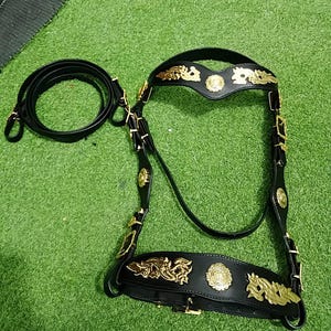 Könnte beinhalten: Schwarze Lederpferdezaum mit goldfarbenen Zierakzenten. Der Zaum hat verzierte Designs und kreisförmige Verzierungen. Eine passende schwarze Lederzügel ist links vom Zaum aufgerollt. Der Hintergrund ist grün.