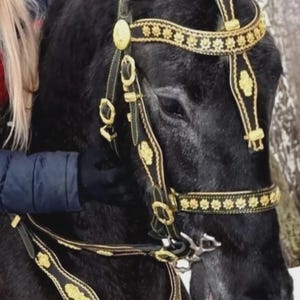 Puede incluir: Un caballo negro con una brida y un arnés decorativos en negro y dorado. La brida presenta intrincados adornos dorados y un peto a juego. El pelaje del caballo es de un negro intenso, que contrasta con los detalles dorados.
