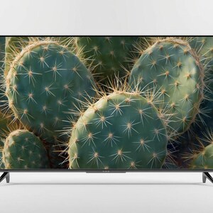 May include: A flat-screen television with a thin black frame and two angled black legs. The screen displays a high-definition image of several green prickly pear cactus pads covered in sharp, light-colored spines against a neutral background.