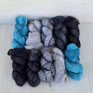 The Alpaca Yarn Company Mini Madness 10 Mini Skeins Paca Peds Sock Yarn