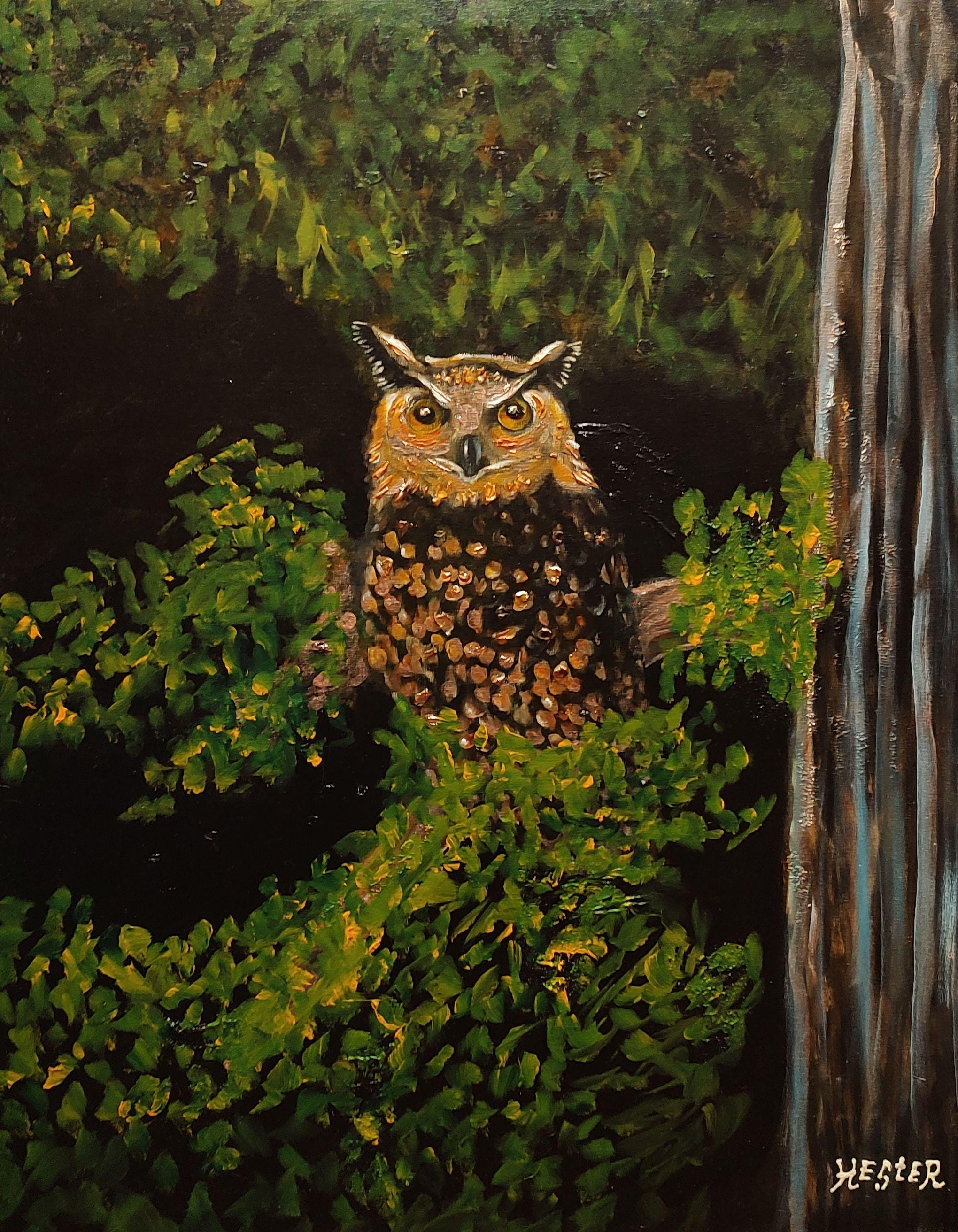 large original owl painting 24x30