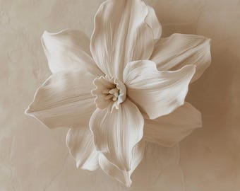 Cuadro decorativo con la flor de nacimiento de diciembre, lámina de narciso, decoración floral neutra, arte botánico minimalista para habitación infantil, regalo de cumpleaños, descarga digital.