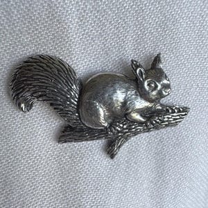May include: A silver-toned squirrel brooch, detailed with textured fur and a bushy tail, perched on a branch. The brooch is a small, decorative accessory, likely made of metal.