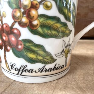 May include: A white ceramic mug featuring a botanical illustration of a coffee plant with green leaves, white flowers, and clusters of red and yellow coffee cherries. The text "Coffea Arabica" is printed in black script near the base of the mug.