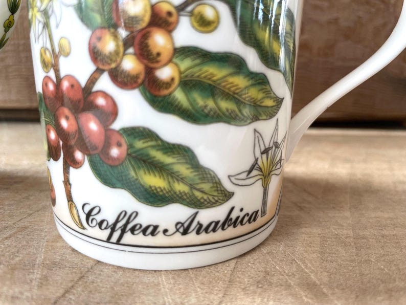 May include: A white ceramic mug featuring a botanical illustration of a coffee plant with green leaves, white flowers, and clusters of red and yellow coffee cherries. The text "Coffea Arabica" is printed in black script near the base of the mug.