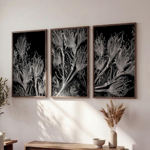 Puede incluir: Un conjunto de tres piezas de arte mural rectangulares que presentan dibujos de líneas blancas de siluetas de flores botánicas sobre un fondo negro sólido, cada una encerrada en un marco de madera marrón fino, dispuestas lado a lado.