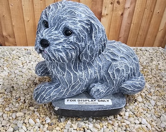Mosley the Dog