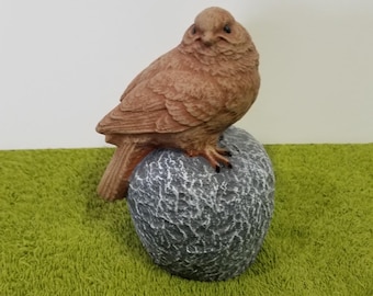 Bird on Rock