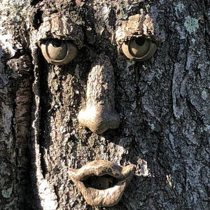 May include: A detailed carving of a face embedded in tree bark. The face features prominent eyes, a nose, and a mouth, all crafted to blend with the natural texture and color of the tree. The artwork creates a whimsical, naturalistic aesthetic.