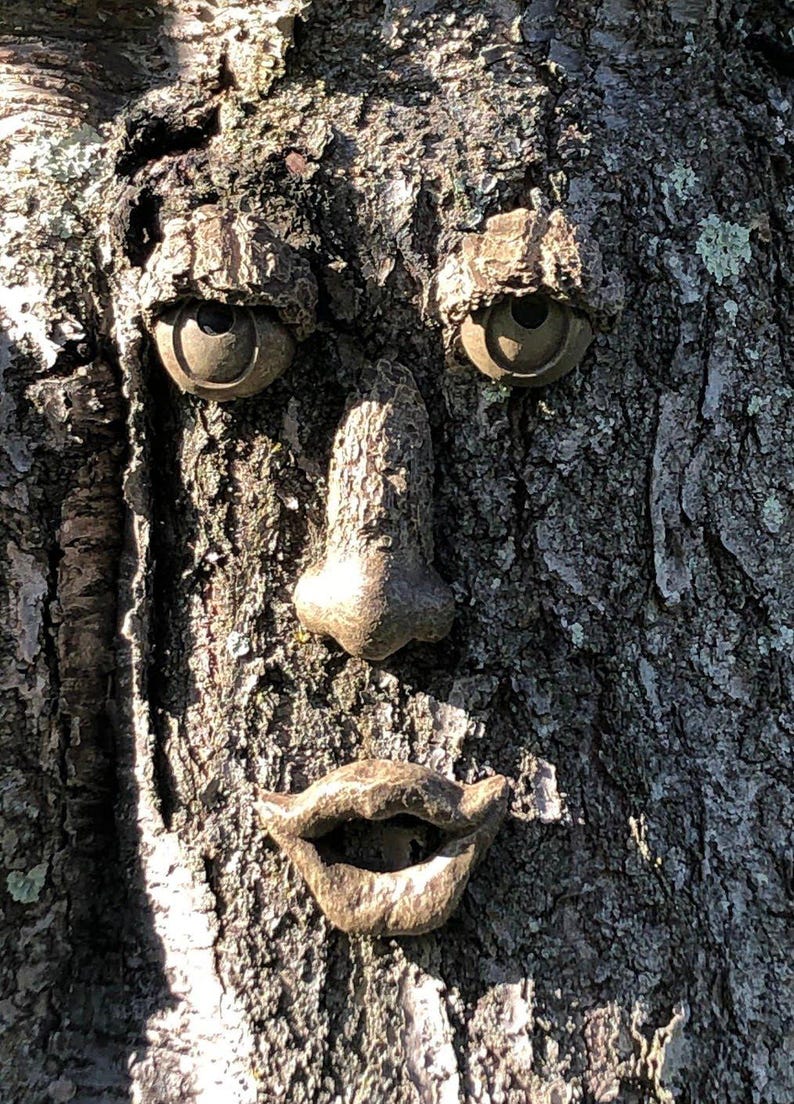 May include: A detailed carving of a face embedded in tree bark. The face features prominent eyes, a nose, and a mouth, all crafted to blend with the natural texture and color of the tree. The artwork creates a whimsical, naturalistic aesthetic.