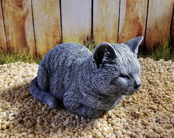 Resting Kitty