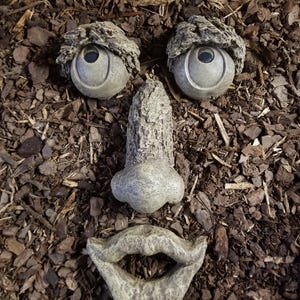May include: A whimsical garden sculpture featuring a face composed of stone elements. The sculpture includes two eye-shaped pieces with dark centers, a nose, and a smiling mouth. The face is set against a backdrop of brown mulch.