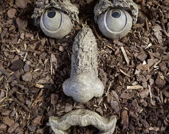 Tree Face