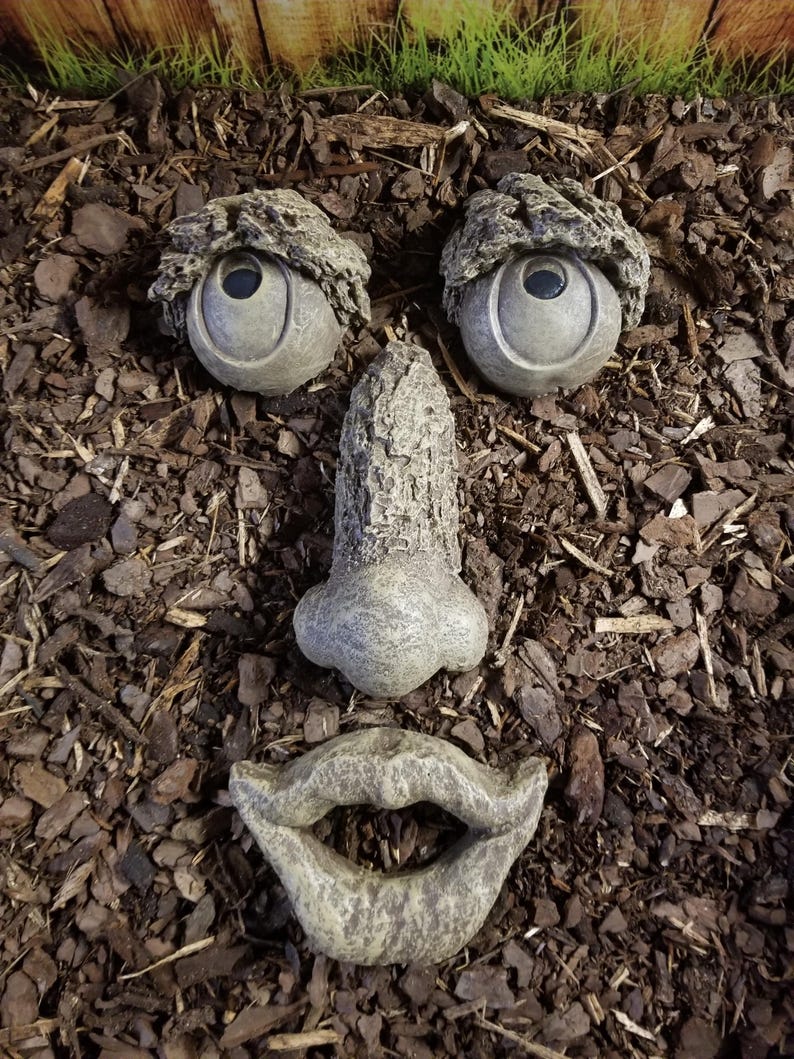 May include: A whimsical garden sculpture featuring a face composed of stone elements. The sculpture includes two eye-shaped pieces with dark centers, a nose, and a smiling mouth. The face is set against a backdrop of brown mulch.