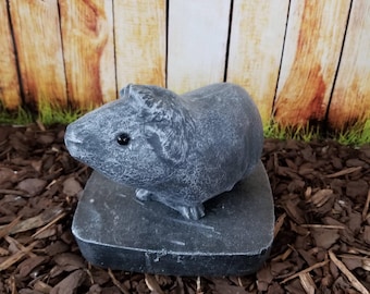 Guinea Pig