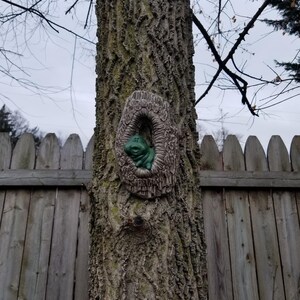 May include: A tree trunk with a decorative, oval-shaped sculpture of a frog in a hollow. The frog is green, and the sculpture has a textured, brown, bark-like appearance. A wooden fence and bare tree branches are in the background.