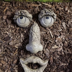 May include: A whimsical garden art arrangement featuring a face composed of stone elements. Two round eyes with textured 'eyebrows', a nose, and a smiling mouth are arranged on a bed of brown mulch, creating a playful outdoor decoration.