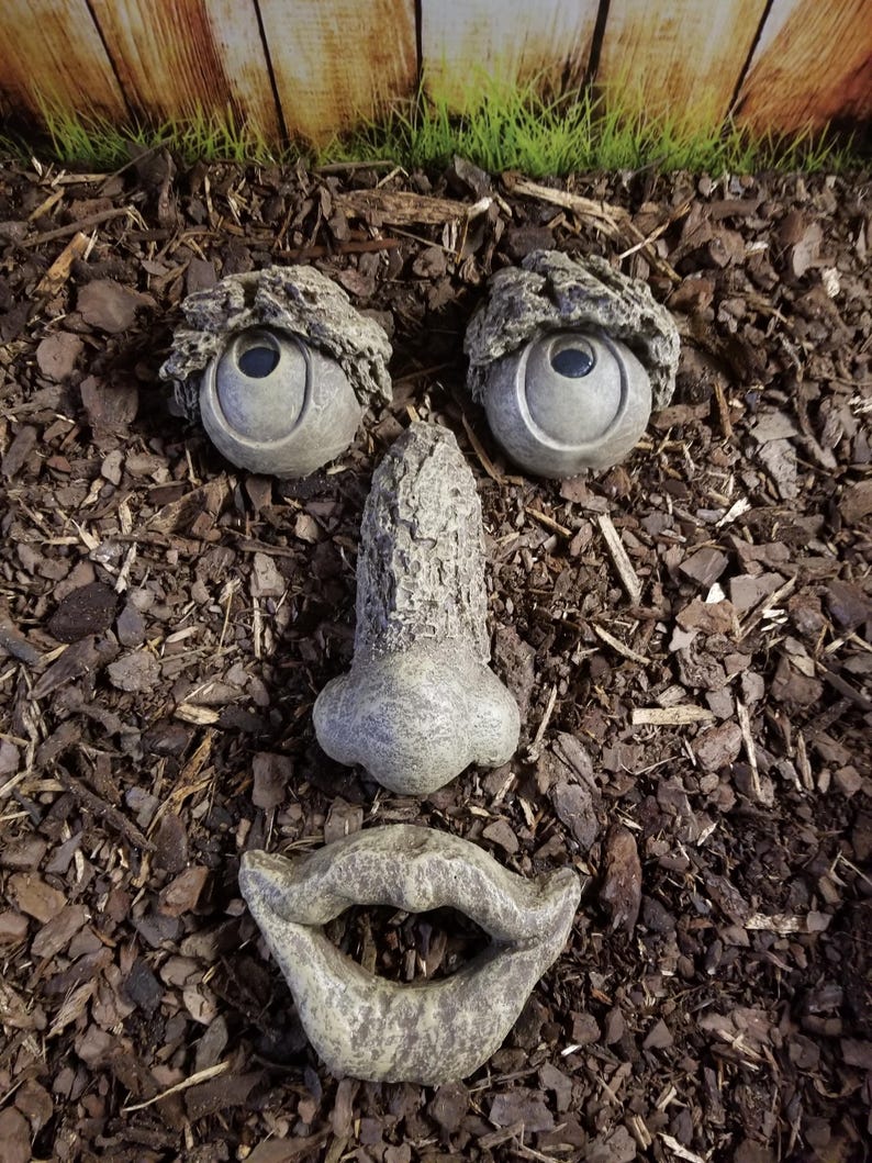 May include: A whimsical garden art arrangement featuring a face composed of stone elements. Two round eyes with textured 'eyebrows', a nose, and a smiling mouth are arranged on a bed of brown mulch, creating a playful outdoor decoration.