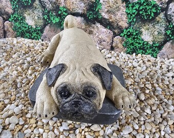 Perro pug grande