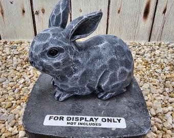 Becky the Rabbit