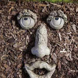 May include: A whimsical garden face sculpture composed of three stone elements: two eyes with textured 'eyebrows', a nose, and a smiling mouth. The pieces are arranged on a bed of mulch, creating a unique outdoor decoration.