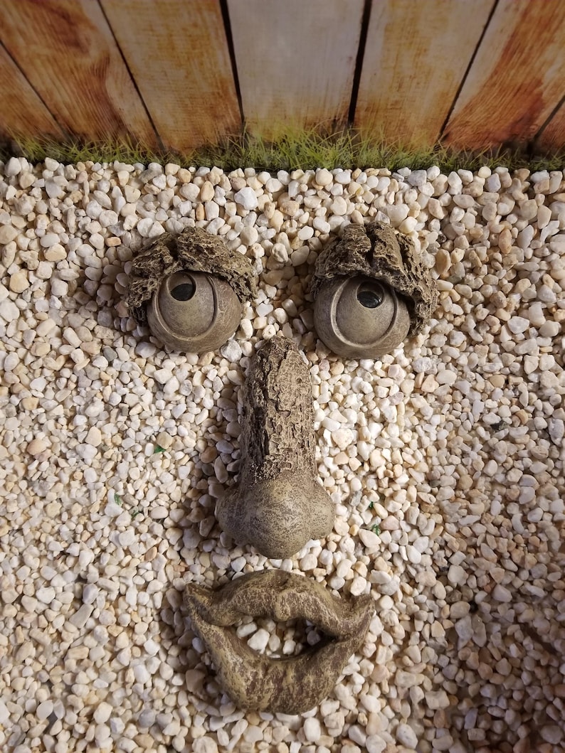 May include: A whimsical garden face sculpture composed of stone elements. The sculpture features two round eyes with textured 'eyebrows', a nose, and a smiling mouth, all set against a backdrop of small pebbles and a wooden fence.