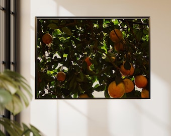 Stimmungsvoller Zitrusbaum Wand Kunst Druck, Fotografie, Kücheneinrichtung, digitaler Download