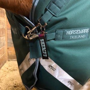 May include: A teal horse blanket with white and light blue trim. A black tag with the word "SHERIFF" in white lettering hangs from a silver clasp. The blanket has the word "AMIGO" printed on it. The blanket is made by Horseware Ireland.
