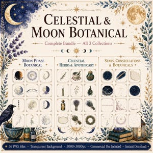 Celestial Clipart Bundle | 36 PNG Watercolor Moon Star Botanical | Witchy Apothecary Art | Digital Art Download