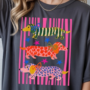 Pu&ograve; includere: T-shirt grigio scuro con una grafica colorata di tre bassotti. Ogni cane ha un motivo unico: strisce verdi e gialle, pois rossi e pois blu. Strisce verticali rosa e stelle completano il design.