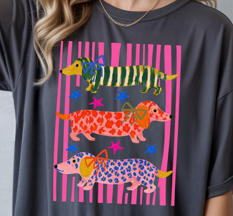 Pu&ograve; includere: T-shirt grigio scuro con una grafica colorata di tre bassotti. Ogni cane ha un motivo unico: strisce verdi e gialle, pois rossi e pois blu. Strisce verticali rosa e stelle completano il design.
