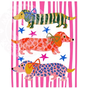 Pu&ograve; includere: Illustrazione stravagante di tre bassotti con cappotti a fantasia in verde, rosso e blu, ognuno adornato con un fiocco. Lo sfondo presenta strisce rosa e bianche e forme di stelle sparse, creando un design giocoso.