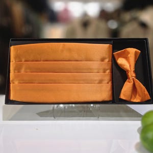 May include: An orange cummerbund and bow tie set presented in a black box. The cummerbund features four horizontal pleats. The bow tie is pre-tied. The set is made of a shiny, satin-like material. The background is blurred.