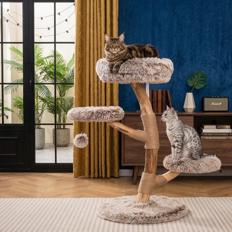 Natural Wood Cat Tree With Cozy Perch and Plush Platforms - Etsy
