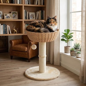 May include: A cat tree with a woven basket bed. The cat tree has a beige, carpeted base and a sisal-wrapped post. A fluffy, multi-colored cat is resting in the basket. A small, white pom-pom hangs from the basket.