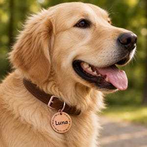 Könnte beinhalten: Ein Golden Retriever-Hund mit einem braunen Lederhalsband und einem kreisförmigen Anhänger. Der Anhänger ist mit dem Namen "Luna" graviert. Der Hund hat ein hellbraunes Fell und ist draußen.