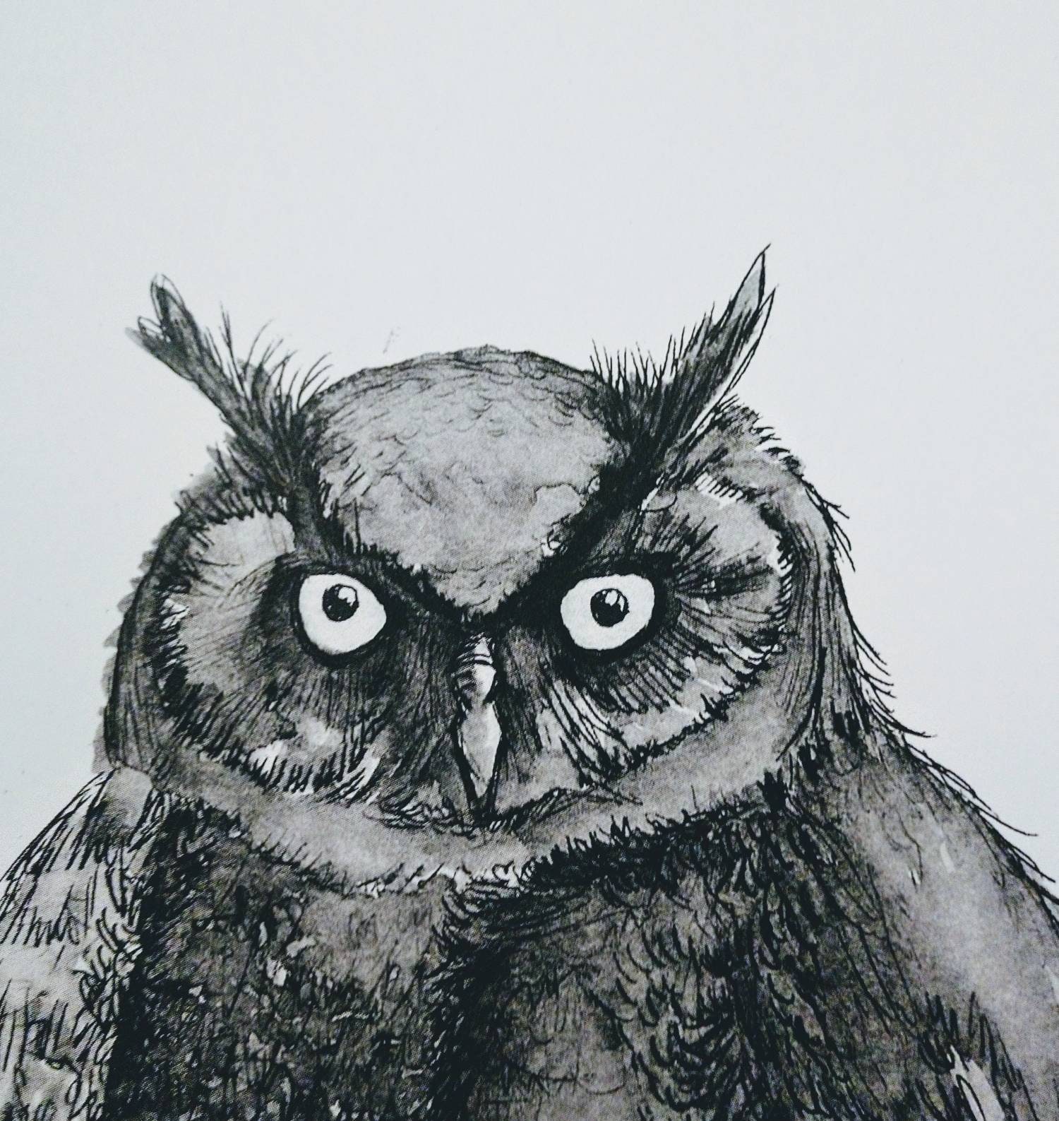 Washed Owl 8