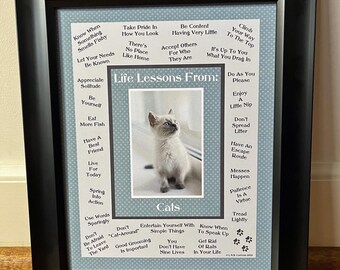 CAT | Cat Life Lessons Print | Cat Wisdom | Fun | (8"x10", 11"x14" Digital Download) | Cat 12
