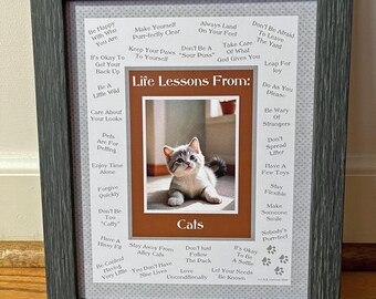 CAT | Cat Life Lessons Print | Cat Wisdom | Fun | (8"x10", 11"x14" Digital Download) | Cat 09