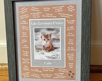 CAT | Cat Life Lessons Print | Cat Wisdom | Fun | (8"x10", 11"x14" Digital Download) | Cat 13