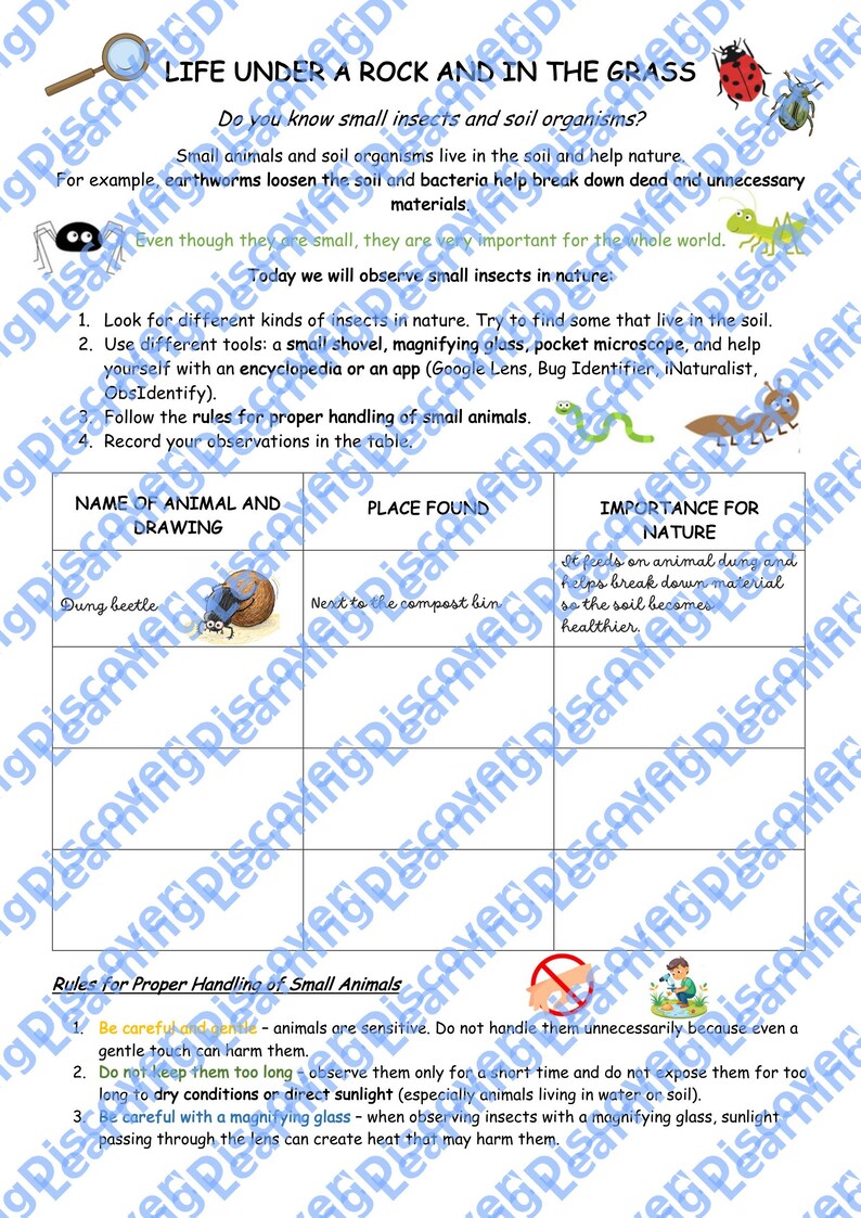 Insect Discovery Science Activity for Kids | Nature Study Worksheet ...