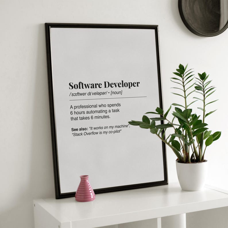 Pu&ograve; includere: Una stampa incorniciata in bianco e nero con la definizione di "Software Developer". La definizione include una descrizione umoristica. Un piccolo vaso rosa e una pianta in vaso sono su una mensola bianca.