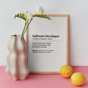 Pu&ograve; includere: Una stampa incorniciata con la definizione di "Sviluppatore software" e una descrizione umoristica. Un vaso beige con fiori bianchi e due limoni sono davanti alla stampa, su uno sfondo rosa.