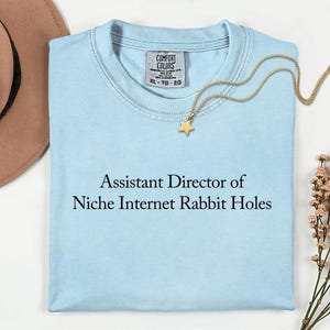 Assistant réalisateur de niche Internet Rabbit Holes Shirt - T-shirt satire de carrière ironique - Esthétique d'entreprise minimaliste - Profs de titre de poste amusant