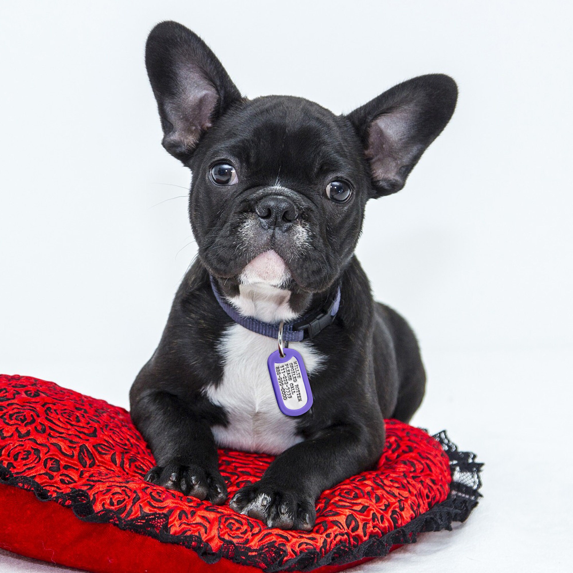 Puppy Tag Puppy Collar Tag ID Tags For Dogs Cute Pet Tag Etsy