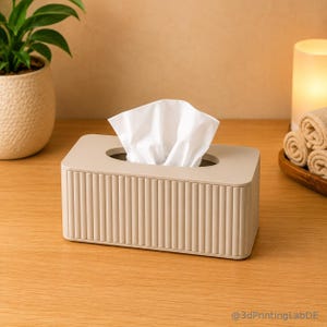May include: A rectangular beige tissue box holder with a vertical ribbed texture on the sides and a smooth top surface. A white tissue is pulled through the oval opening in the centre. The text @3dPrintingLabDE is visible in the bottom right corner.